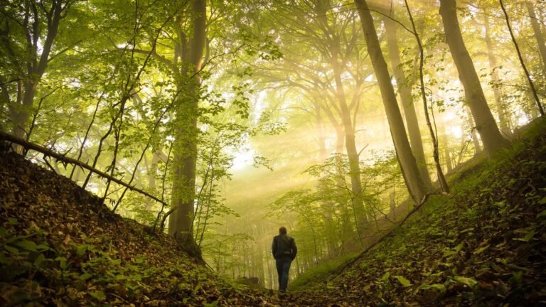 Camino de Santiago en Agosto