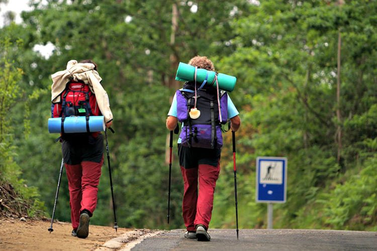 Camino de Santiago Portugués