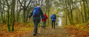 Reserva rutas Camino de Santiago Camino de Santiago desde Ferrol en 8 días
