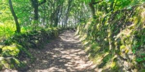 Camino desde Sarria en etapas cortas