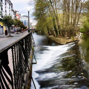 Camino de Santiago desde Sarria