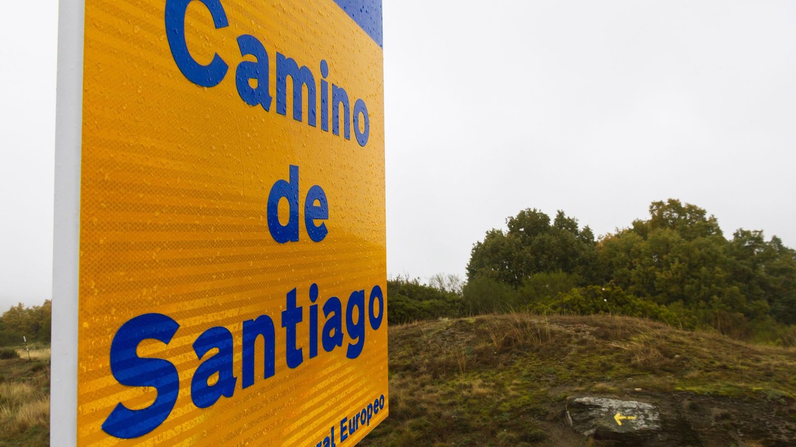 citas y frases del Camino de Santiago