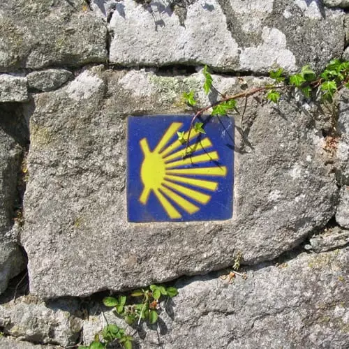 Inicio Rutas del Caminio de Santiago Organizadas. Agencia Especializada