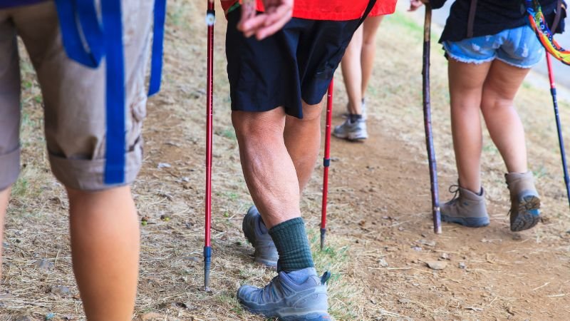 tipos de camino de santiago