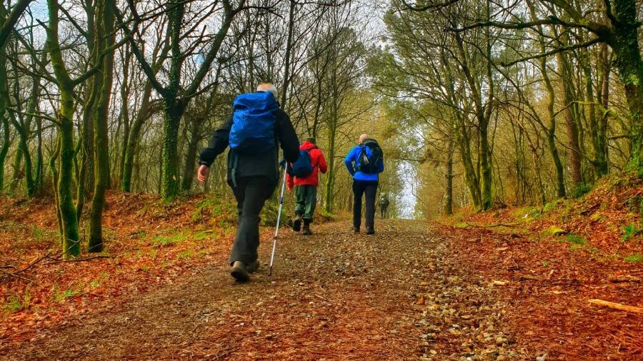 Camino desde Ferrol en 8 dias Descubre el Camino de Santiago desde Ferrol en 8 días